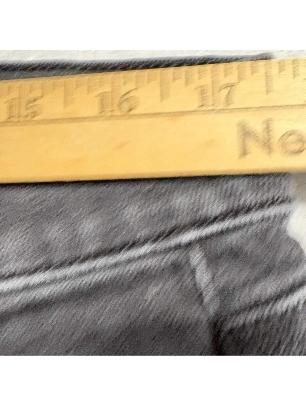 Joes Jeans joe jeans
